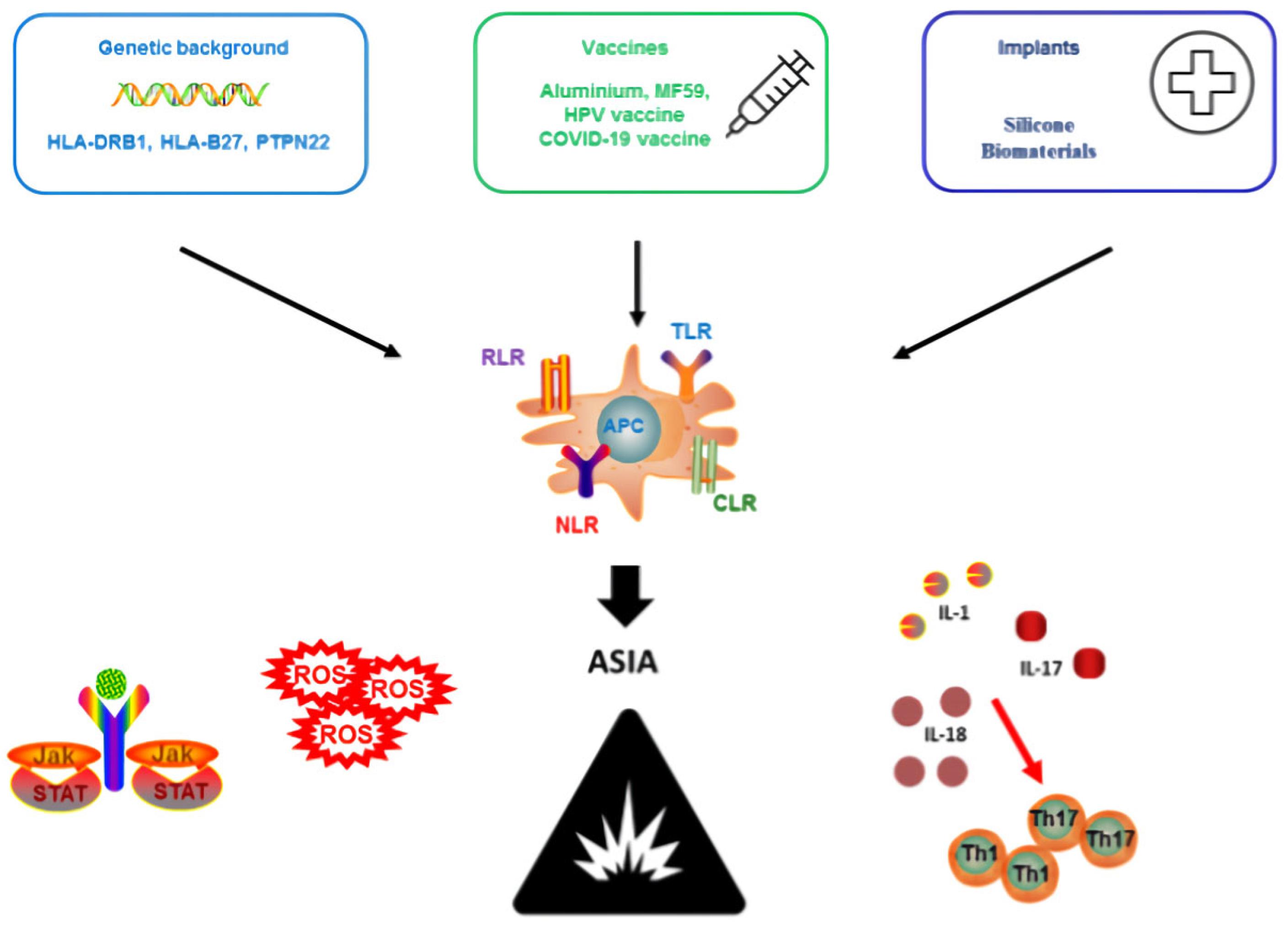 ASIA Syndrome: State-of-the-Art and Future Perspectives